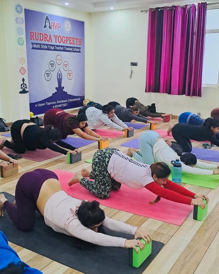 Hatha, Vinyasa, and Ashtanga yoga training in Rishikesh for teachers.